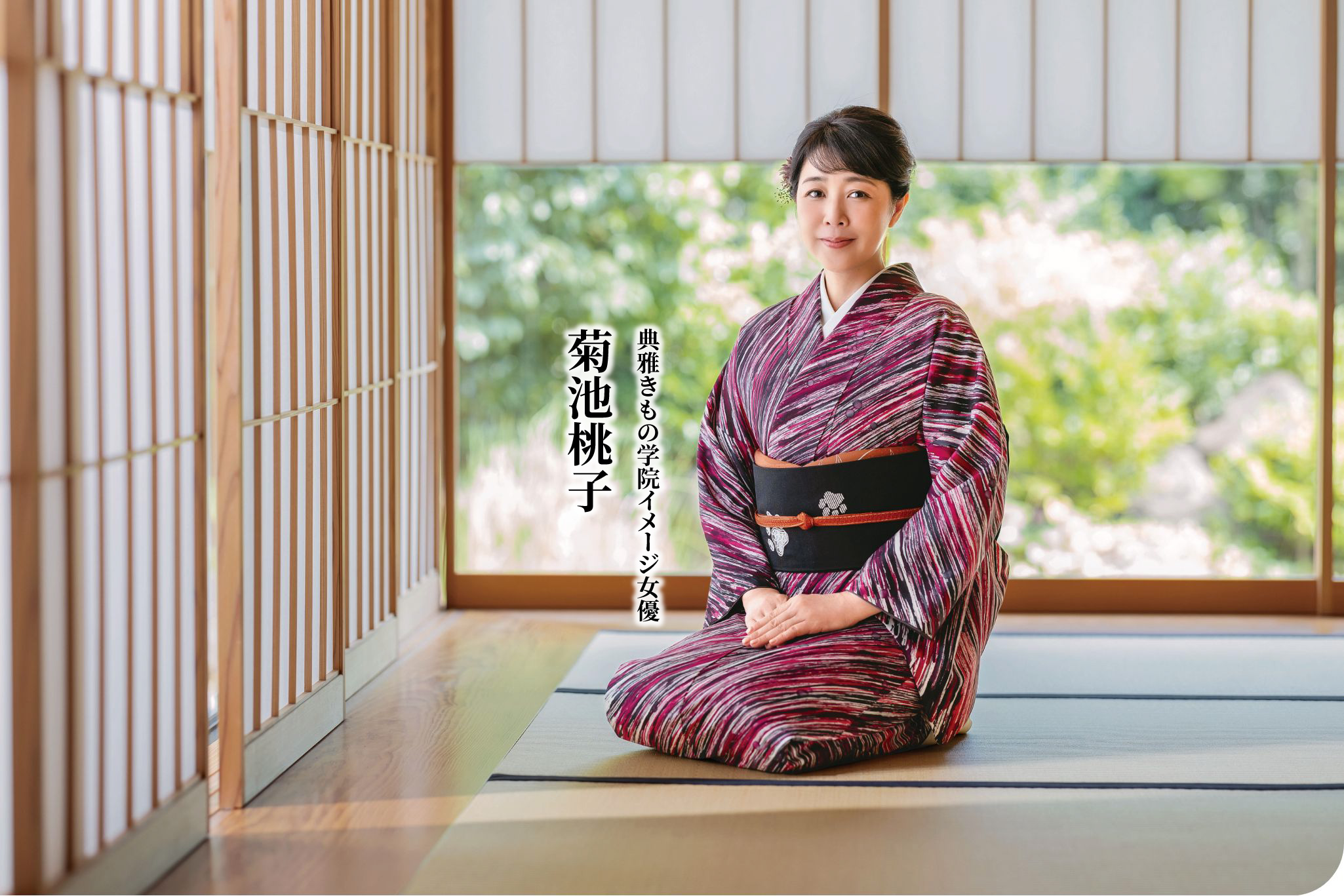 イメージ女優 菊池桃子