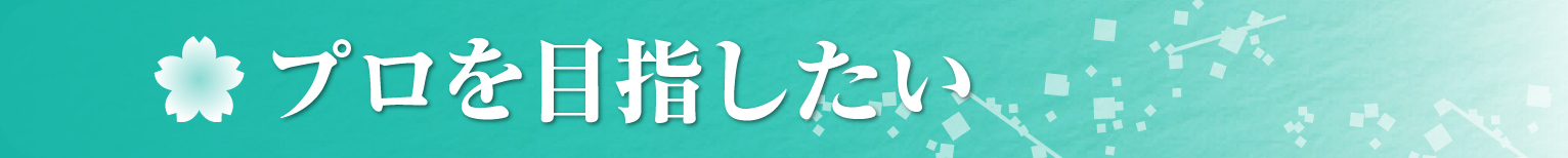 プロを目指したい