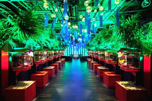 着物でお出かけ 典雅きもの学院越谷校