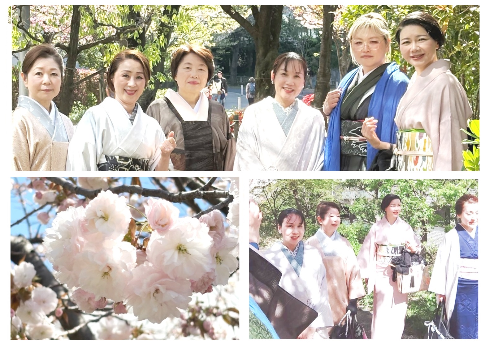 典雅きもの学院吉祥寺校