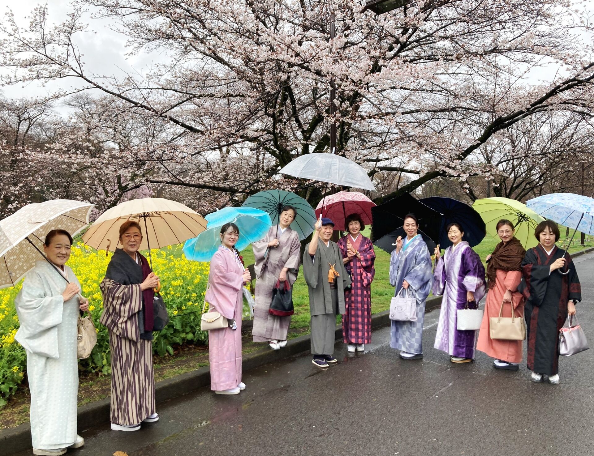 典雅きもの学院小金井校・東久留米教室