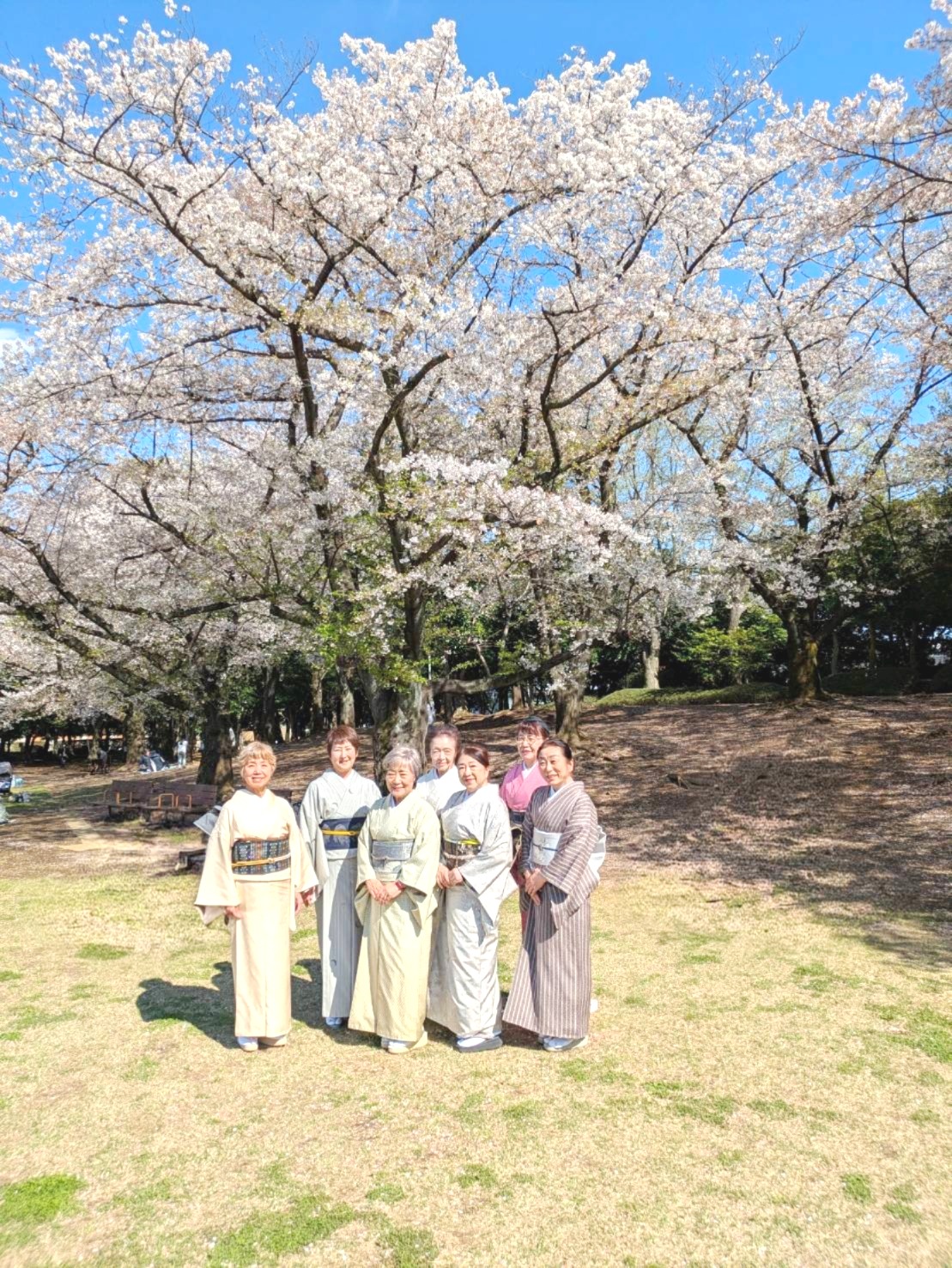 典雅きもの学院西川口校