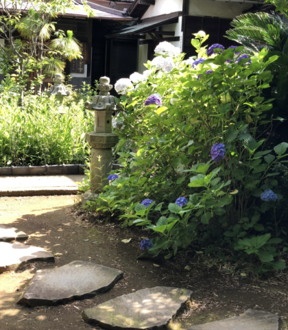 典雅きもの学院衣笠大矢部教室