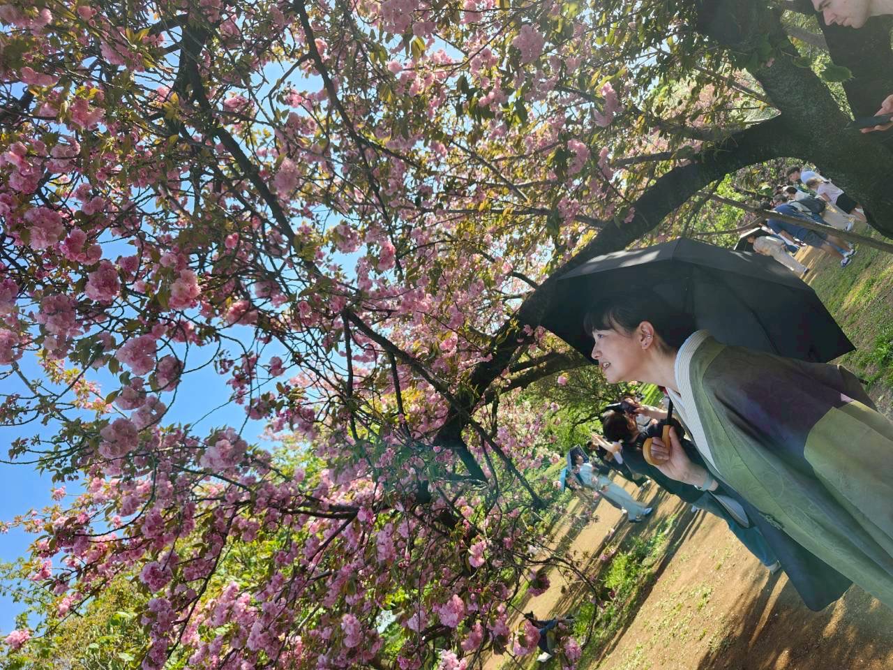 典雅きもの学院小金井校・東久留米教室