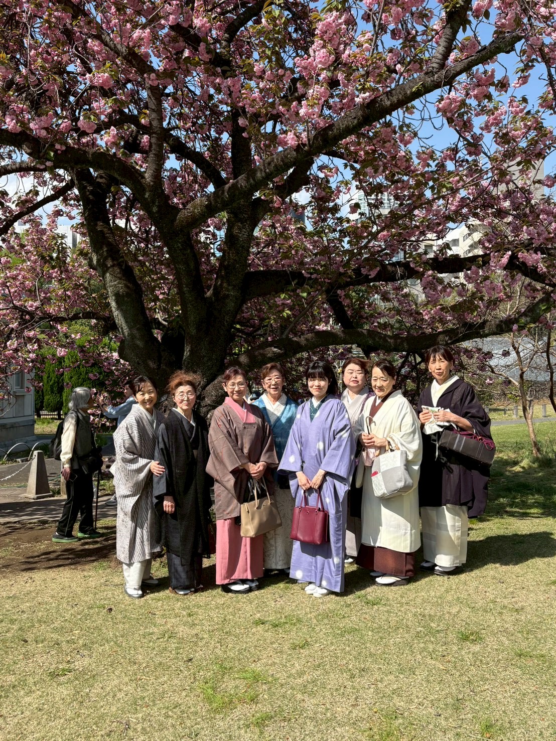 典雅きもの学院小金井校・東久留米教室